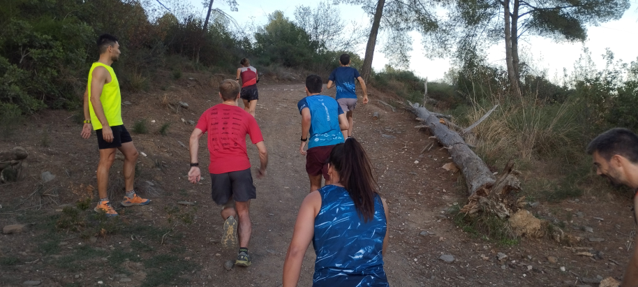 entrenamiento-trail-2